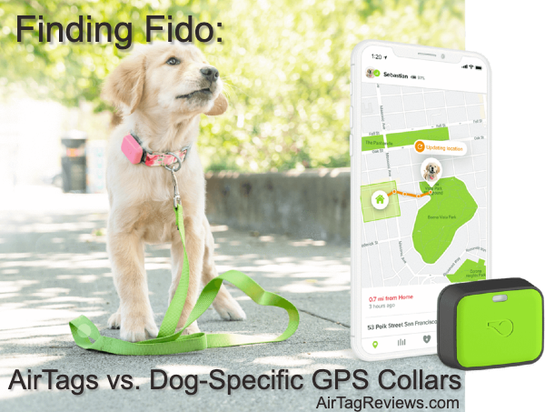 AirTags vs. GPS Dog Trackers