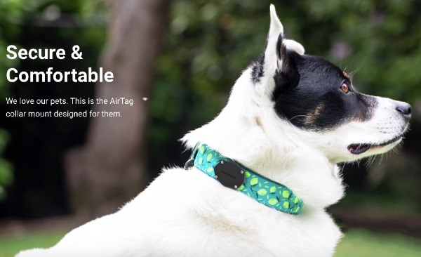 Using the TagVault:Pet Dog Collar to Track Missing Pets with AirTags